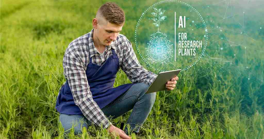 AI for Sustainable Agriculture: Crop Yield